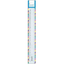 Gallery Passion For Colour lat transparant 30 cm op blister