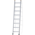 Castrex Easypro Enkele Ladder10 sporten