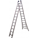 Reform Ladder 2x7