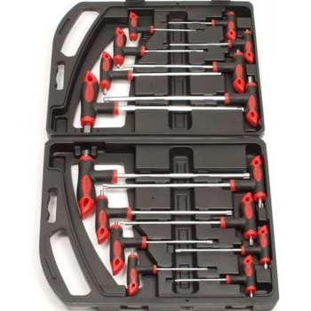 T-Greep Inbus en Torx set 16 delig