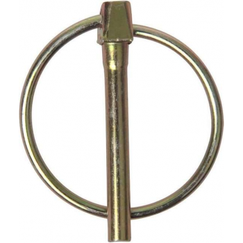 Proplus Borgpen Met Ring Aluminium 4,5 Mm Zilver Per Stuk