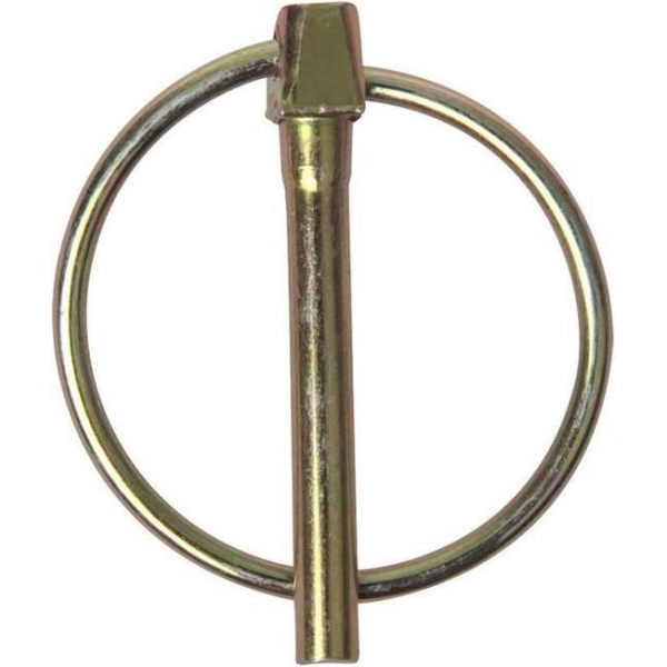 Proplus Borgpen Met Ring Aluminium 4,5 Mm Zilver Per Stuk Proplus Borgpen Met Ring Aluminium 4,5 Mm Zilver Per Stuk