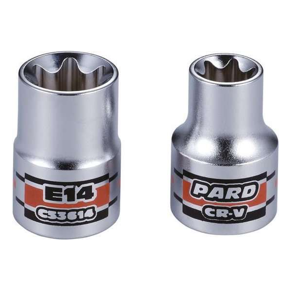 3/8'' Torx-dop PAC53608