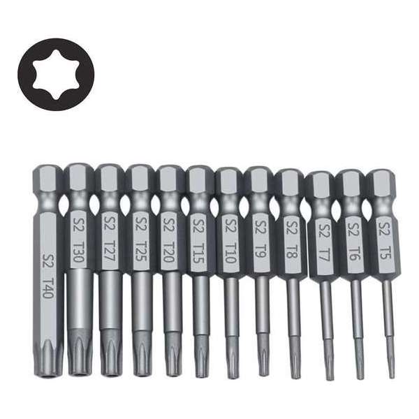 Bitset 12x Torx bitjes 6-punts 50mm lengte / T5 T6 T7 T8 T9 T10 T15 T20 T25 T27 T30 T40 / HaverCo Bitset 12x Torx bitjes 6-punts 50mm lengte / T5 T6 T7 T8 T9 T10 T15 T20 T25 T27 T30 T40 / HaverCo