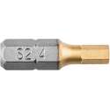 Schroef Bit Inbus HEX 4,0  25 mm. (2X) GRAPHITE