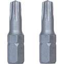 Wovar Torx Bit TX25 25mm - 2 Stuks