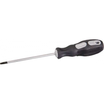 Silverline 244377 Schroevendraaier - Torx - T15 x 100mm