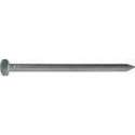 Draadnagel rvs 2.7x50mm bolkop (1kg)