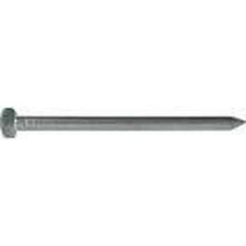 Draadnagel rvs 2.7x50mm bolkop (1kg)