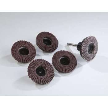 Westfalia Slijpschijven set, 5-delig, 50 mm