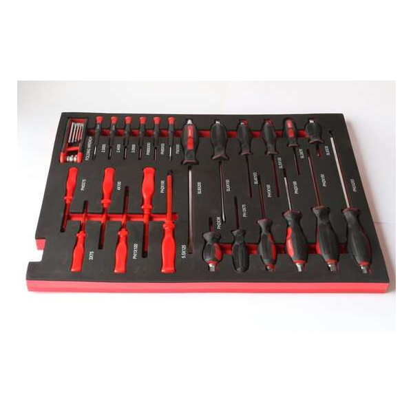 Schroevendraaierset in Foam inlay voor Gereedschapswagens 25-Delig Schroevendraaierset in Foam inlay voor Gereedschapswagens 25-Delig