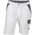 DASSY Roma Korte Werkbroek Wit/Grijs