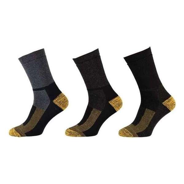 sokken 3 paar thermo apollo Maat 39-42 sokken 3 paar thermo apollo Maat 39-42