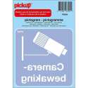 Pickup Pictogram achter glas 10x10 cm - Camerabewaking