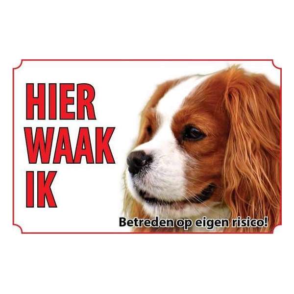 Bord Hond Cavalier King Charles Spaniel Bord Hond Cavalier King Charles Spaniel