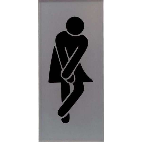 WC Toilet deur bordje dames vrouw. Glas Acrylaat. WC Toilet deur bordje dames vrouw. Glas Acrylaat.