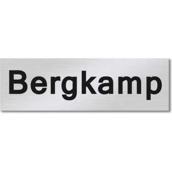 RVS Naamplaat 11x3 cm – Brievenbus naamplaat – Naamplaatje voordeur - Zelfklevend & Eigen ontwerp