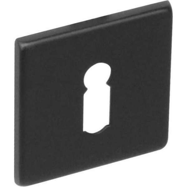 Intersteel Rozet sleutelgat vierkant rvs geborsteld mat zwart Intersteel Rozet sleutelgat vierkant rvs geborsteld mat zwart