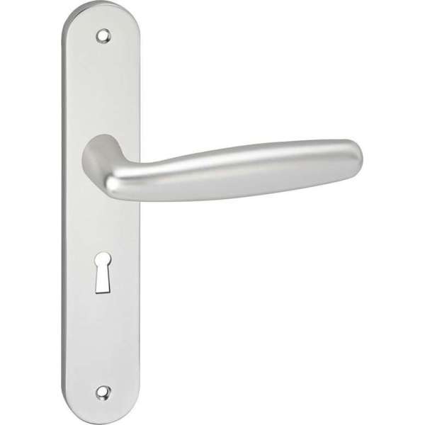 Impresso Cambridge Deurklink – Deurbeslag – Ovaal – Deurschild met Schroeven en Sleutelgat – Zilver Impresso Cambridge Deurklink – Deurbeslag – Ovaal – Deurschild met Schroeven en Sleutelgat – Zilver