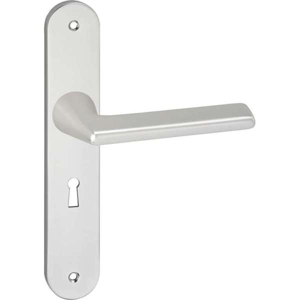 Impresso Bristol Deurklink – Deurbeslag – Ovaal – Deurschild met Schroeven en Sleutelgat – Zilver Impresso Bristol Deurklink – Deurbeslag – Ovaal – Deurschild met Schroeven en Sleutelgat – Zilver