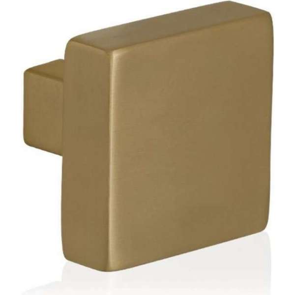 GPF Vierkante knop 53x53x16mm tbv VH-schilden vast incl. bout M10 GPF Vierkante knop 53x53x16mm tbv VH-schilden vast incl. bout M10