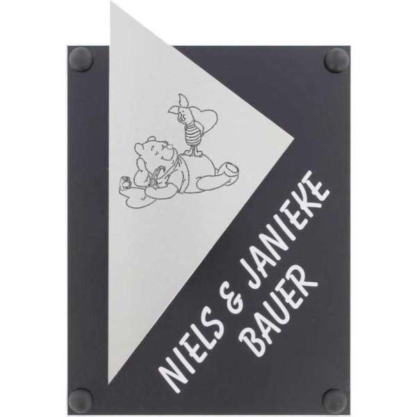 RVS + plexiglas naambord 145 x 225 mm RVS + plexiglas naambord 145 x 225 mm