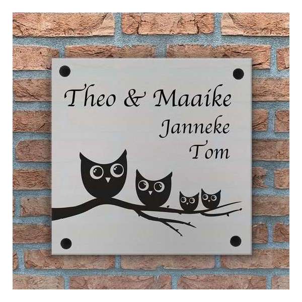 Naambord Opaal acrylglas met tak+4 uilen - 20x20 cm Naambord Opaal acrylglas met tak+4 uilen - 20x20 cm