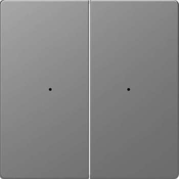 Dubbele Wip Impulsdrukker - Kunststof - RVS Look - Systeem Design - Schneider Electric - MTN5220-6036