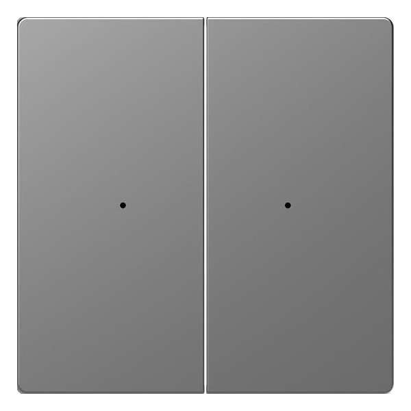 Dubbele Wip Impulsdrukker - Kunststof - RVS Look - Systeem Design - Schneider Electric - MTN5220-6036 Dubbele Wip Impulsdrukker - Kunststof - RVS Look - Systeem Design - Schneider Electric - MTN5220-6036