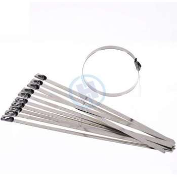 WiseGoods - RVS Kabelbinders - Metalen RVS Tie Wraps - Tie Wraps Set - Metalen Kabelbinders - Tie Wraps Lang - 10 stuks - 250 mm