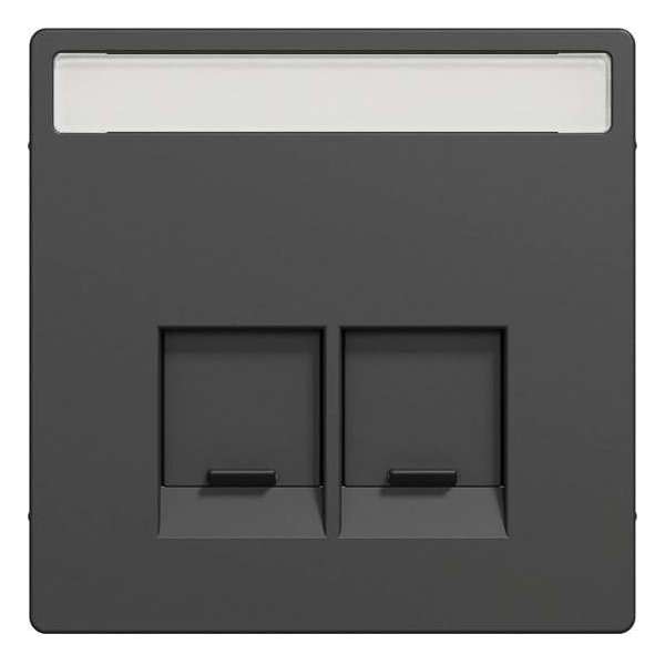 Inzetstuk RJ45 Actassi Tekstveld 2V - Kunststof - Antraciet - Systeem Design - Schneider Electric - MTN4574-6034