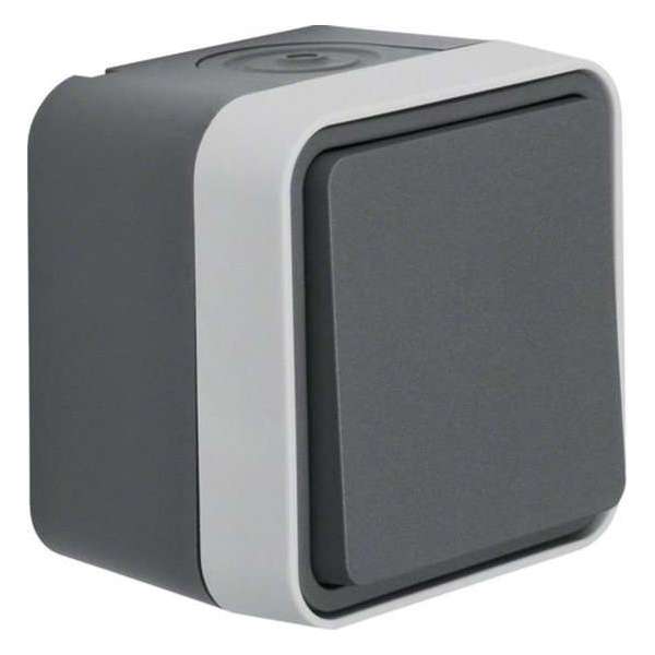 Berker Wisselschakelaar voor buitengebruik W.1 Staalgrijs 30763505 IP55 Berker Wisselschakelaar voor buitengebruik W.1 Staalgrijs 30763505 IP55