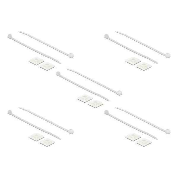 DeLOCK Tie-wraps 200 x 2,5mm (10 stuks) met zelfklevende houders (10 stuks) / transparant DeLOCK Tie-wraps 200 x 2,5mm (10 stuks) met zelfklevende houders (10 stuks) / transparant