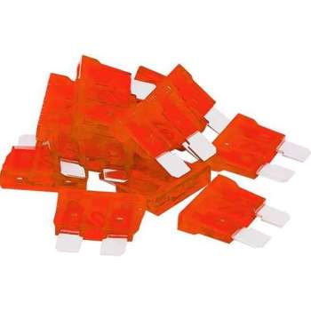 steekzekering 10A - 10 stuks