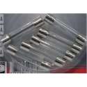 Carpoint Glaszekering Assortiment 8-30A 6 Stuks