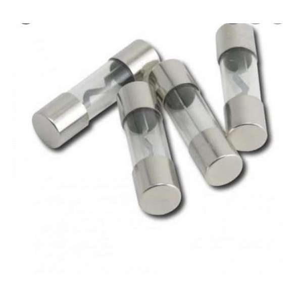 Signat S106440 AGU glaszekeringen 20 ampère set van 4 Signat S106440 AGU glaszekeringen 20 ampère set van 4