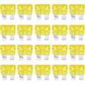 100 STKS Auto Mini Blade Fuse, DC 12V 20A (geel)