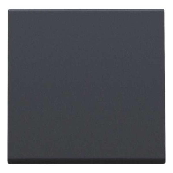 Niko - Centraalplaat drukknop of elektronische schakelaar anthracite - 122-31002 Niko - Centraalplaat drukknop of elektronische schakelaar anthracite - 122-31002