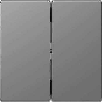 Dubbele Wip - Kunststof - RVS Look - Systeem Design - Schneider Electric - MTN3400-6036