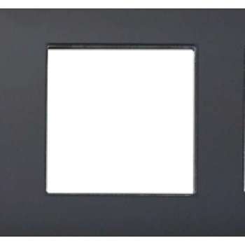 THORN Glasframe voor push schakelaar zwart