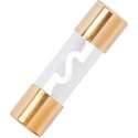 Glaszekering 20A - 4 stuks