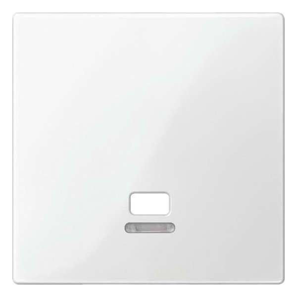 Inzetstuk Trekschakelaar Controlevenster - Polarwit - Systeem M - Schneider Electric - MTN3380-0319 Inzetstuk Trekschakelaar Controlevenster - Polarwit - Systeem M - Schneider Electric - MTN3380-0319