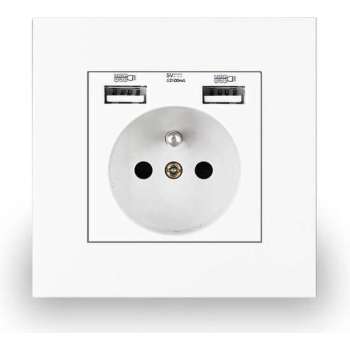 Delviz Dual USB stopcontact -2 USB poorten socket - AC Inbouw Stopcontact - Wandcontactdoos 100 - 250 Volt - Wit