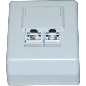 Netwerk wandcontactdoos - Dubbele vrouwelijke RJ45 IDC/110 - Cat.6 - niet afgeschermd -Opbouw