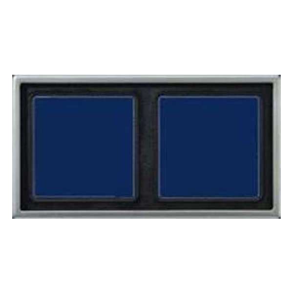 Jung 81 X 152 mm afdekraam 2-voudig RVS