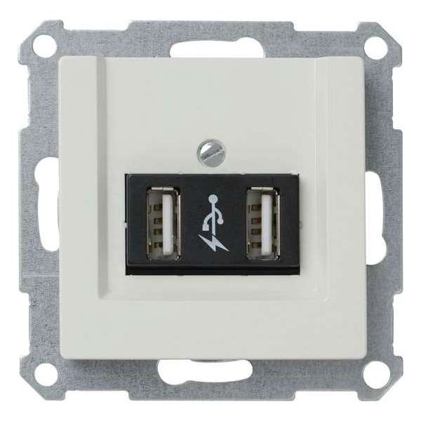 Schneider Electric System-M USB module 2-voudig Wit Schneider Electric System-M USB module 2-voudig Wit