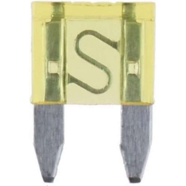 Car Plus Autozekeringen Mini 20a Geel 250 Stuks Car Plus Autozekeringen Mini 20a Geel 250 Stuks
