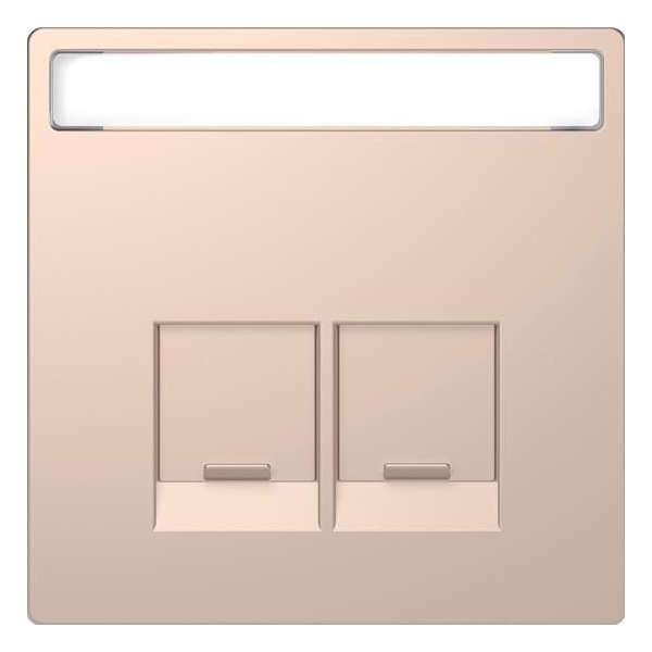 Inzetstuk RJ45 Actassi Tekstveld 2V - Metaal - Champagne Metallic - Systeem Design - Schneider Electric - MTN4574-6051 Inzetstuk RJ45 Actassi Tekstveld 2V - Metaal - Champagne Metallic - Systeem Design - Schneider Electric - MTN4574-6051