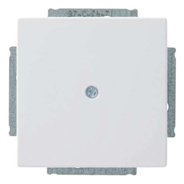 Busch-Jaeger Future Linear afdekplaat Mat Wit Busch-Jaeger Future Linear afdekplaat Mat Wit