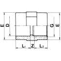 Schroefbus 63 x 2" Lijm x Binnendraad met RVS Ring